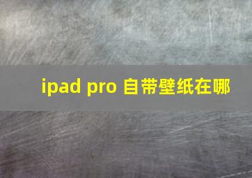 ipad pro 自带壁纸在哪